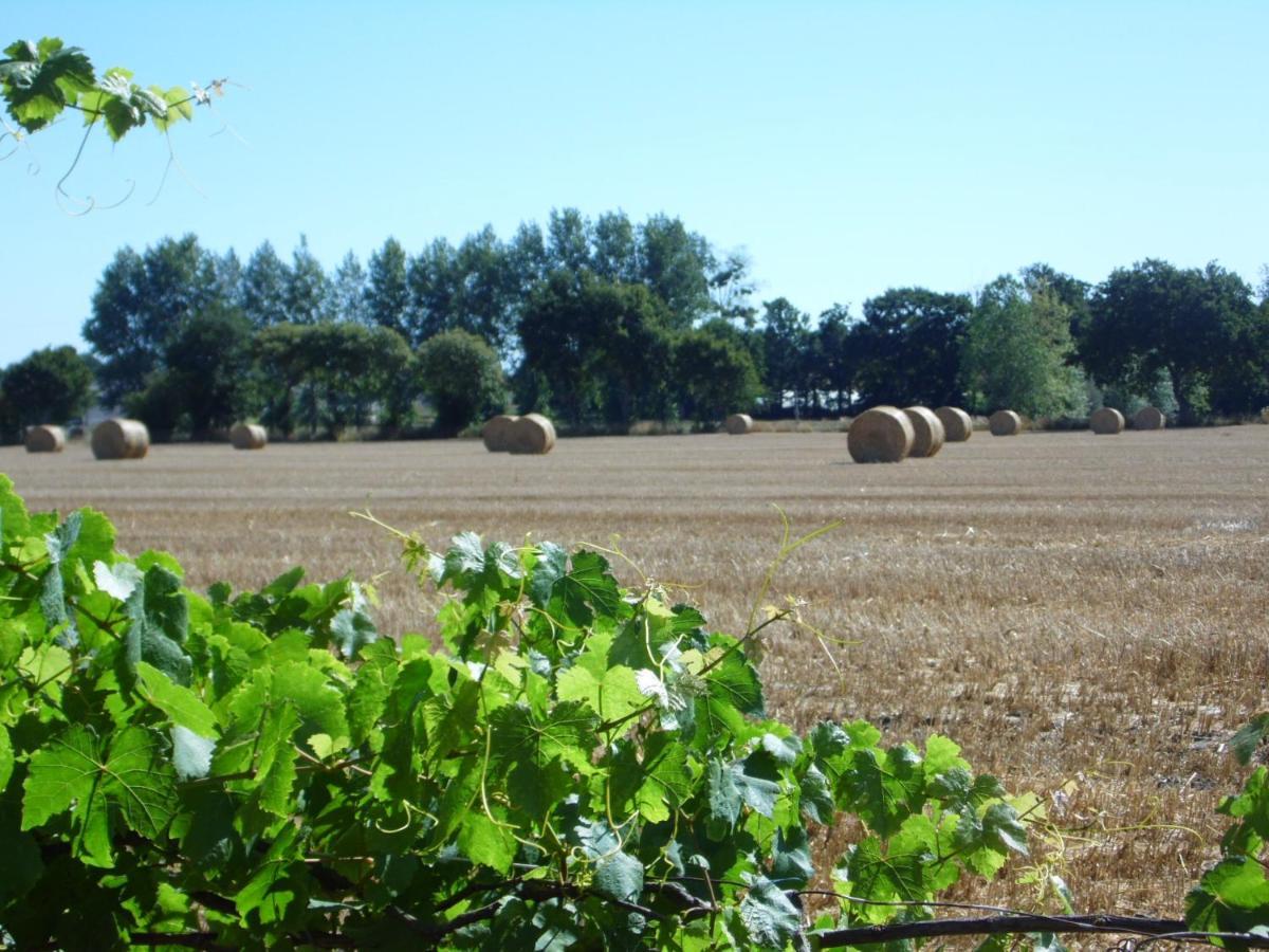 Gite A La Ferme En Pleine Nature Bagian luar foto